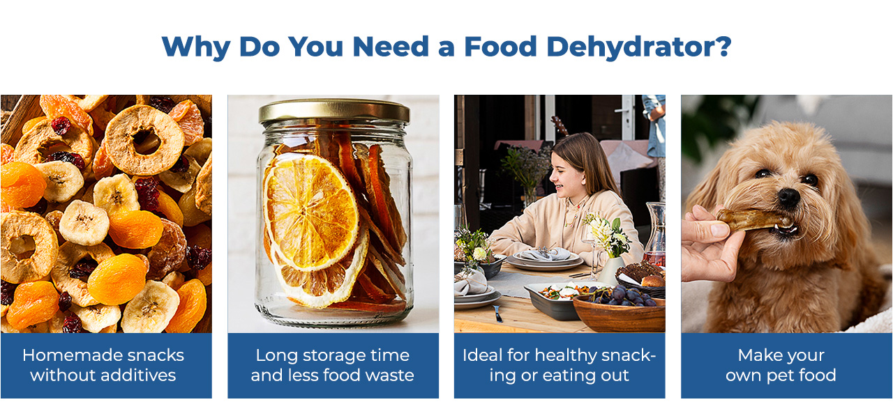 Rosewill Essential Food Dehydrator, Why need it