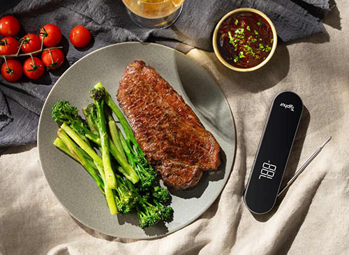 Typhur InstaProbe Core Meat Thermometer 