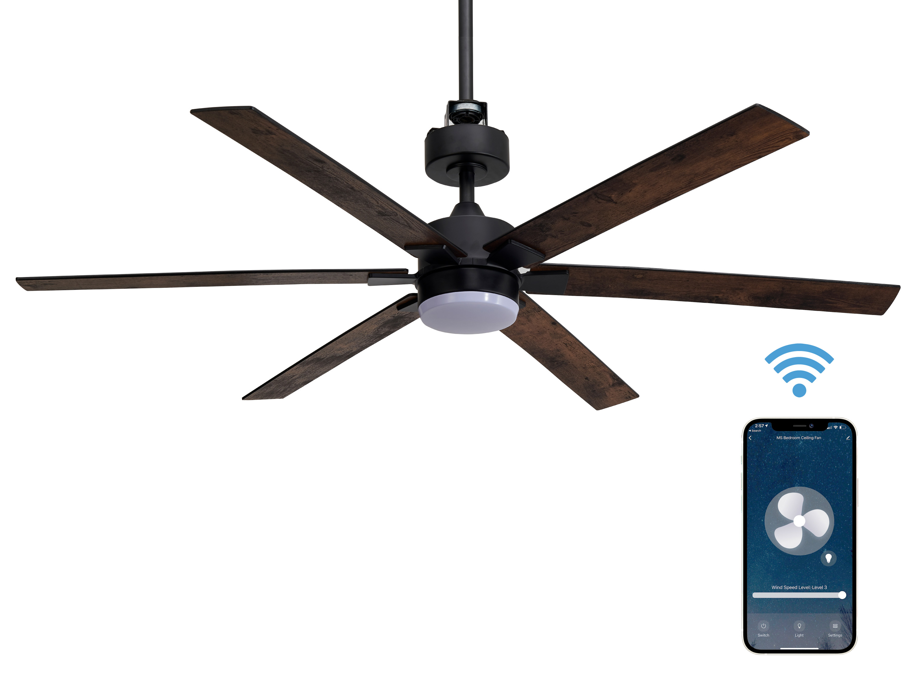 image for this item
