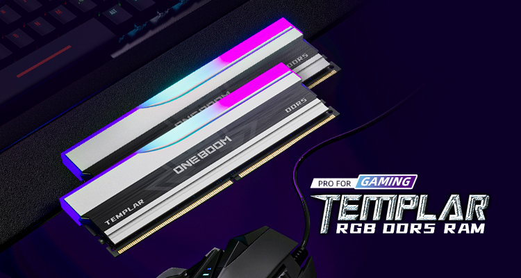 ONEBOOM TEMPLAR DDR5 RGB RAM