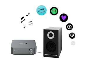 WiiM Amp Multiroom Streaming Amplifier