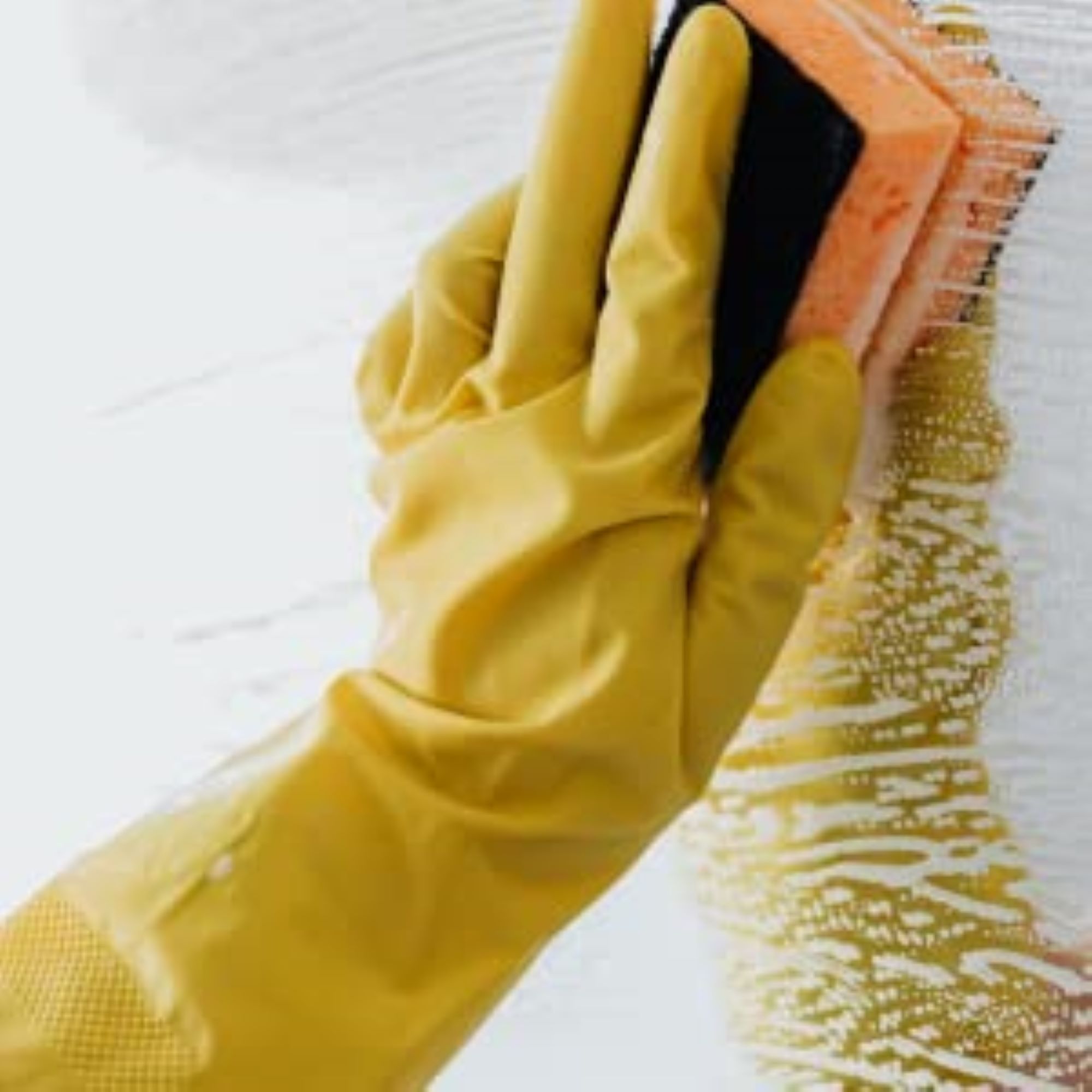 image for this item