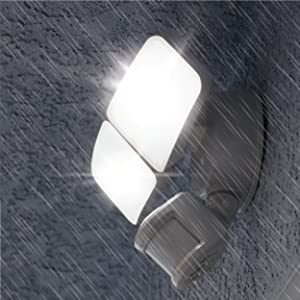 image for this item