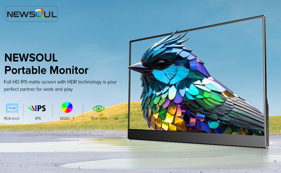 monitor