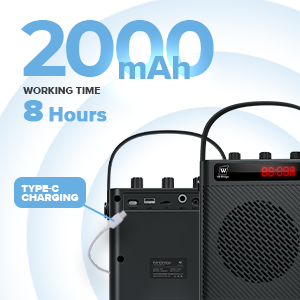 speaker and microphone