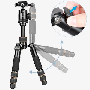image for this item