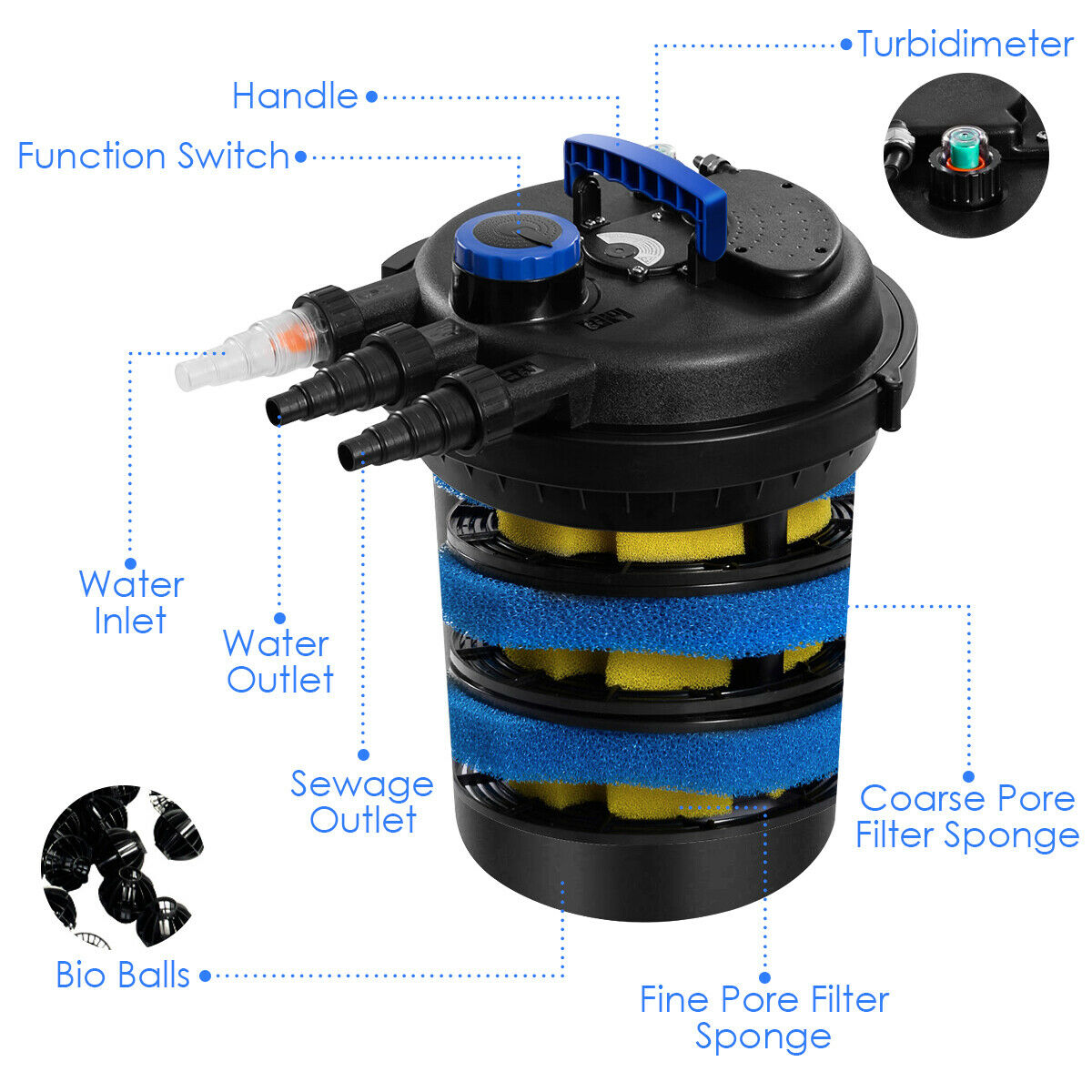 image for this item
