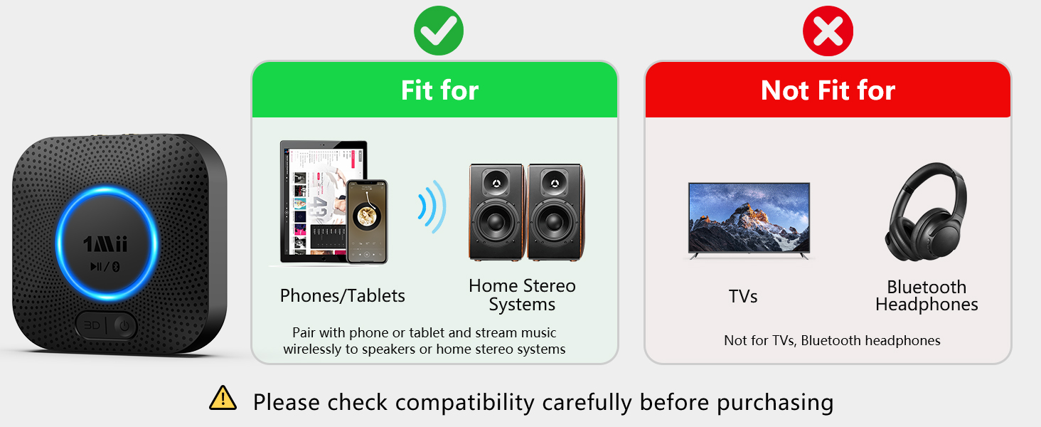 1Mii B06+ Bluetooth Receiver