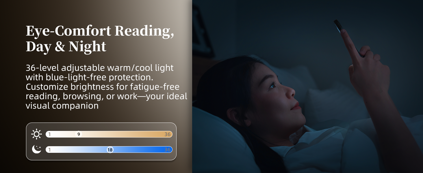 Ebook Reader