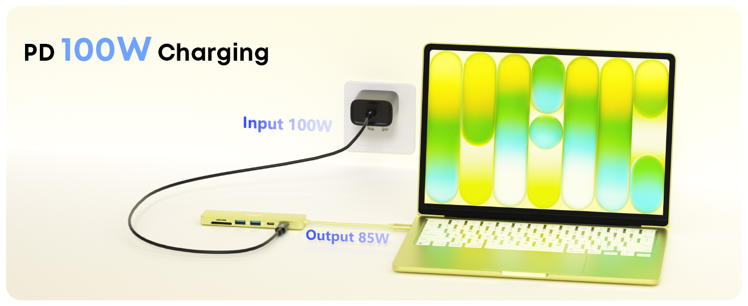 PD 100W Charging