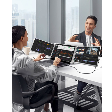 dual portable monitor