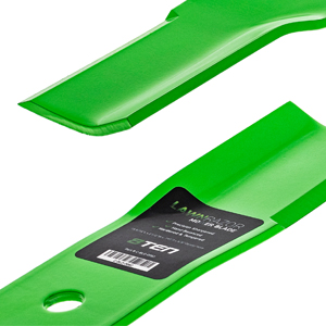 image for this item