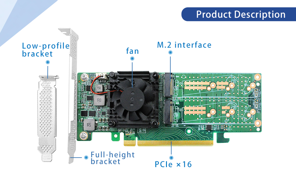 image for this item