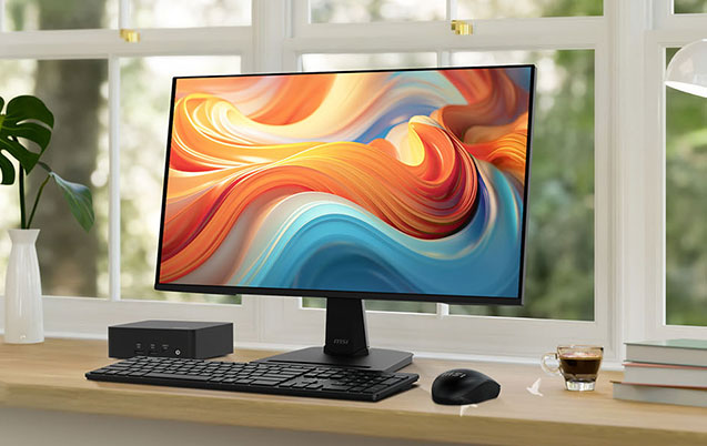 MSI PRO MP251E14L Computer Monitor 