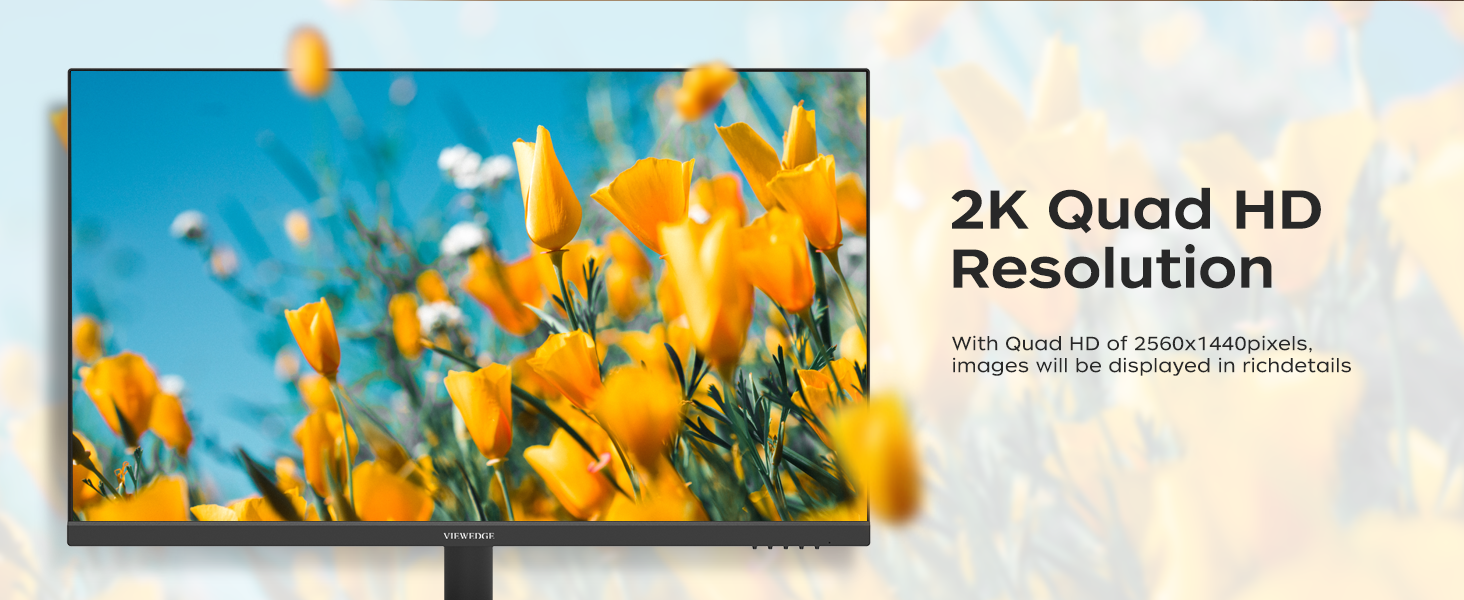 QHD monitor