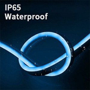 IP 65 Waterproof