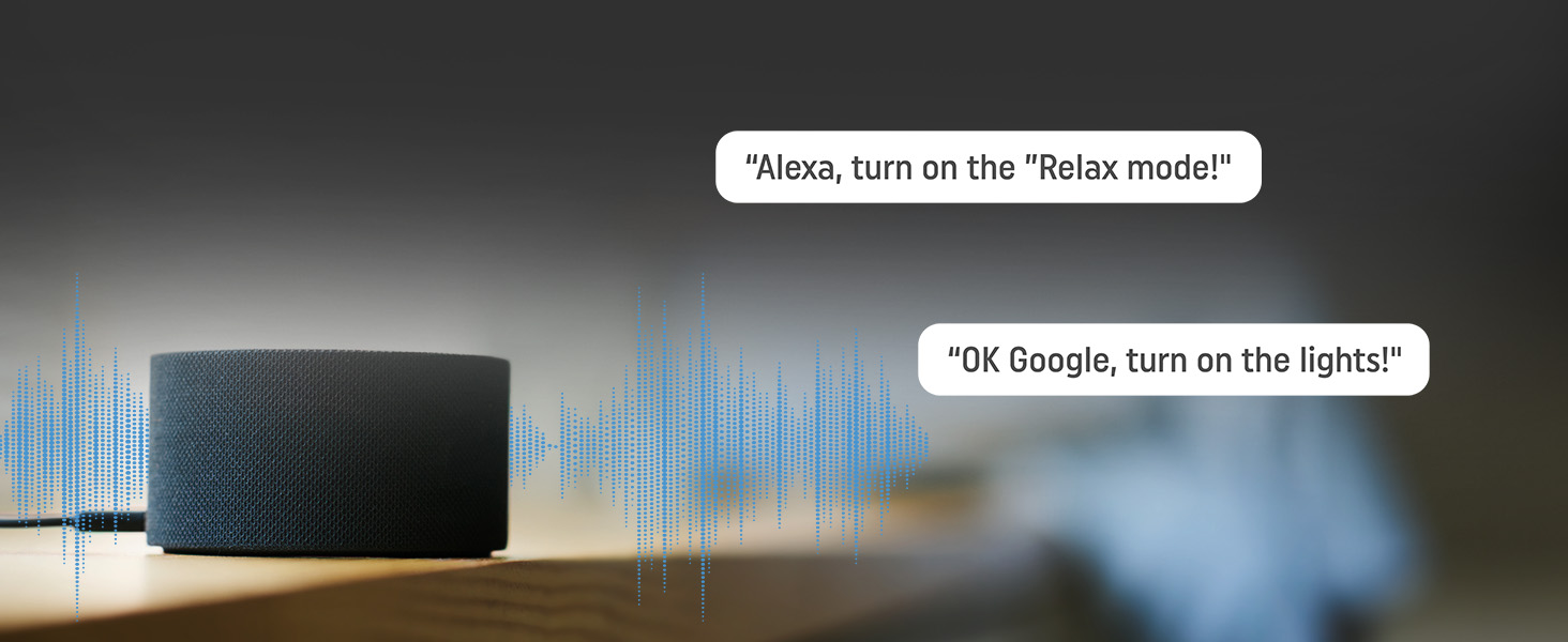 Shelly Plus 1PM - Google Home & Alexa Compatibility