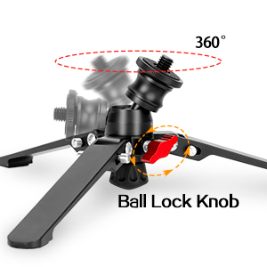 image for this item