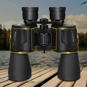 image for this item
