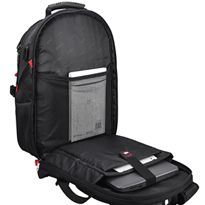 image for this item