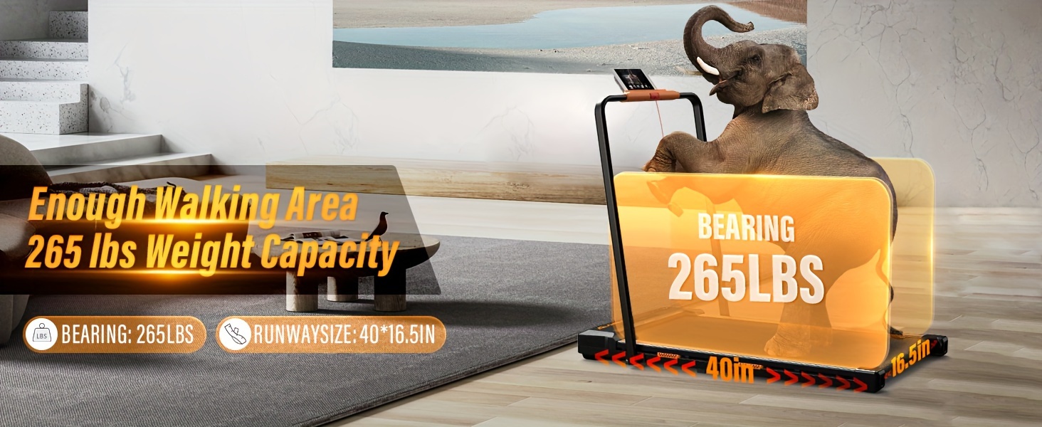 Primy Treadmill