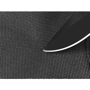 image for this item