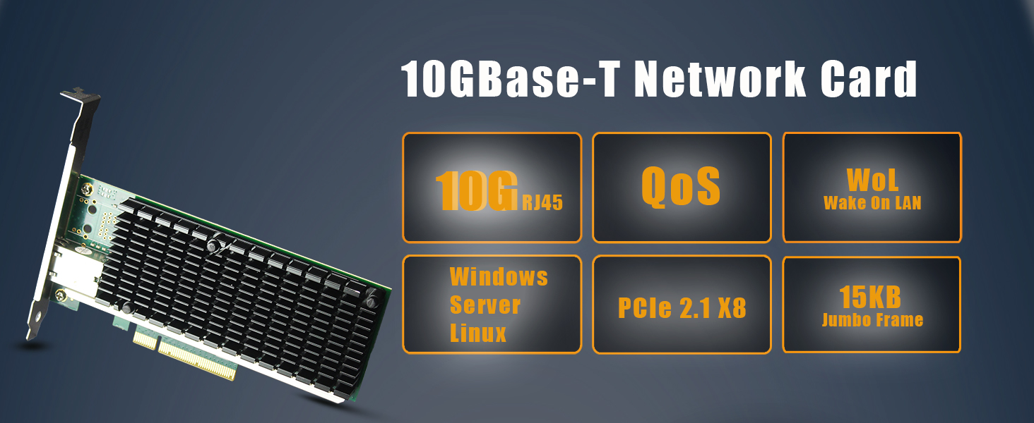 10Gb NIC