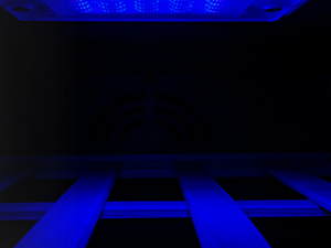 image for this item