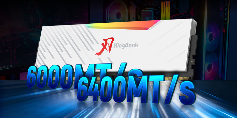 Kingbank RGB 288-Pin PC RAM DDR5 Desktop Memory