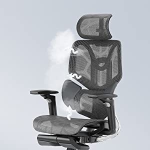 Hbada Ergonomic Office Chair Elastic Adaptive Adjustment Back Lumbar  Support Computer Chair, High-Density Breathable Nylon Mesh Aluminum Alloy  Bracket Desk Chair with Footrest 