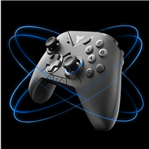 Motion Sensing Function