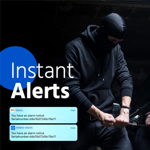 Email Alerts & App Pushes