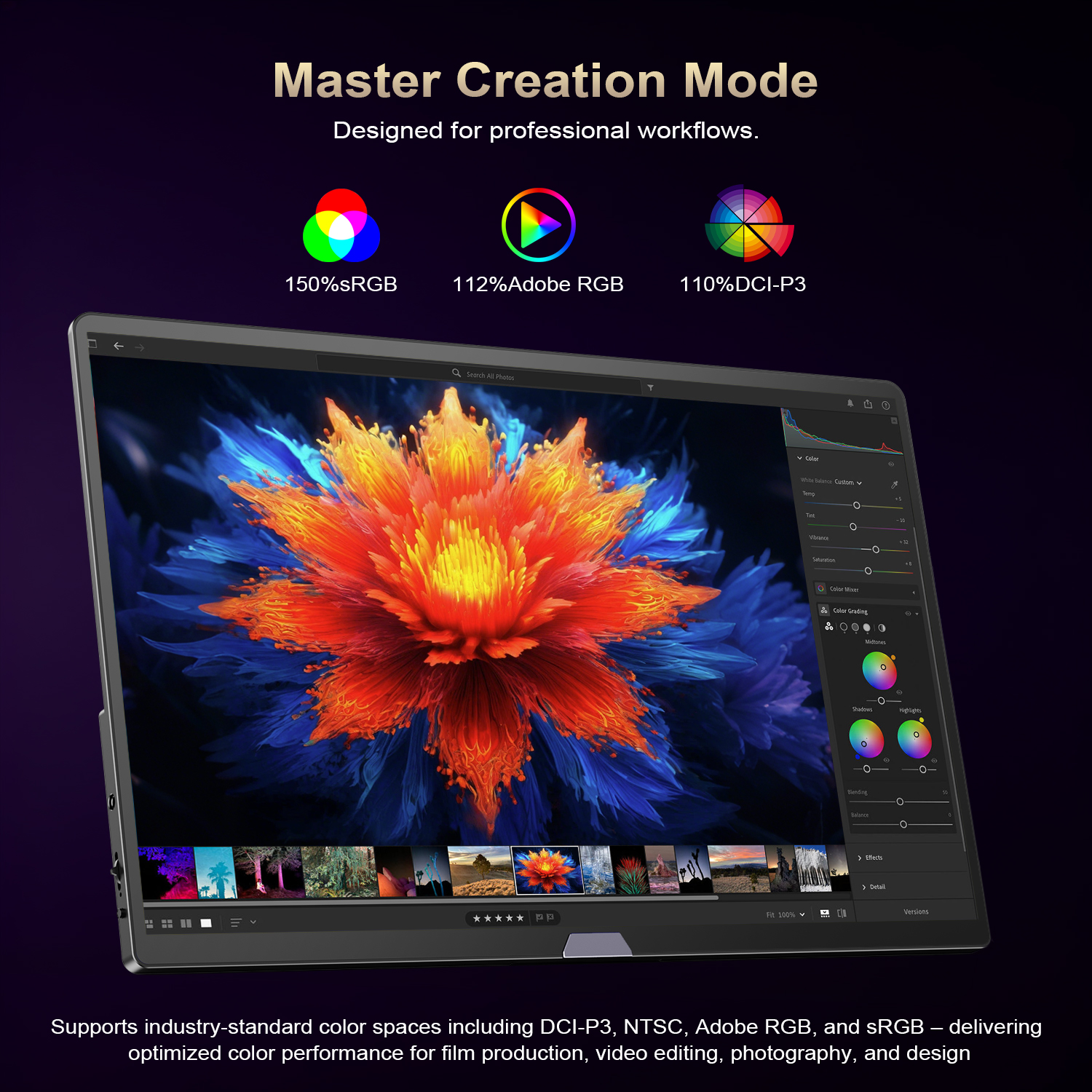 OLED Monitor