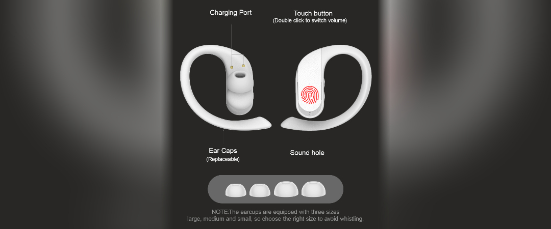 Hearing Aid