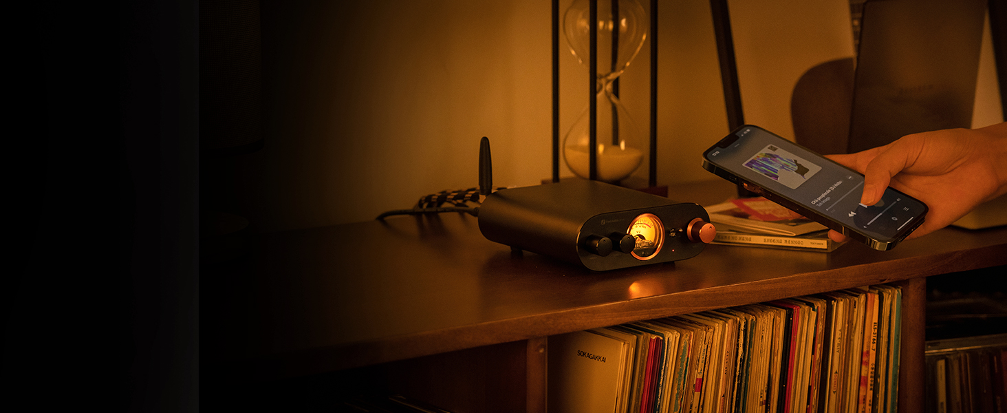 Bluetooth Amplifier