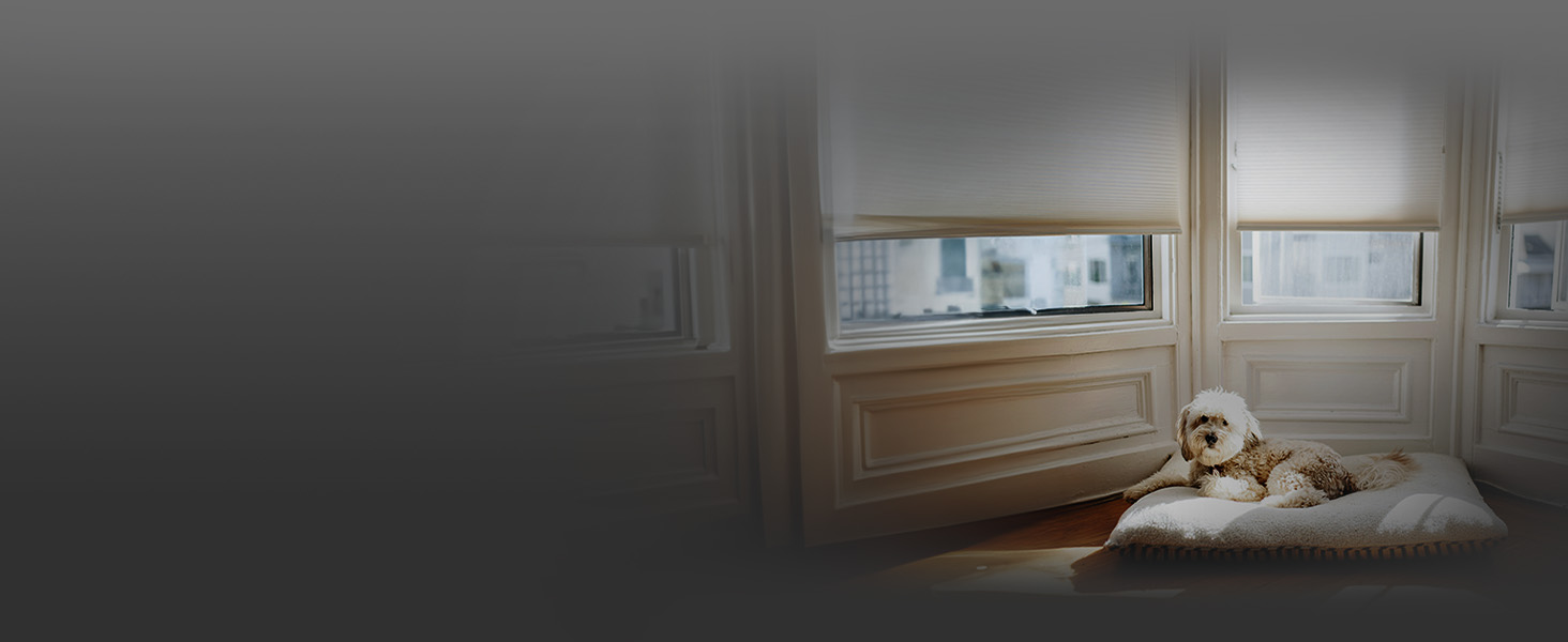 Shelly Plus 2PM UL - Automated Control for Blinds and Shades