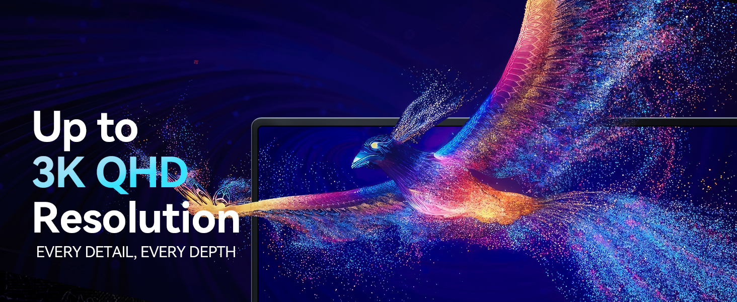OLED MONITOR
