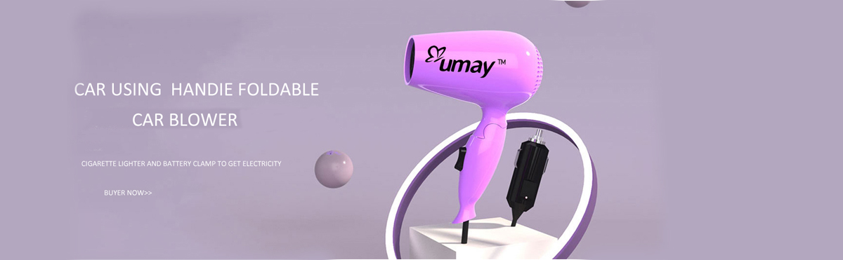 Car Hair Dryer
