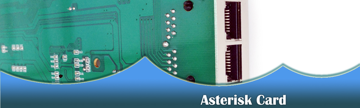 Asterisk card TDM800E