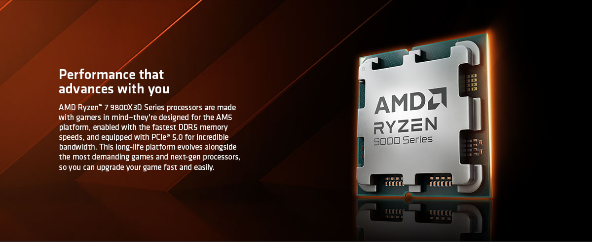 AMD Processor