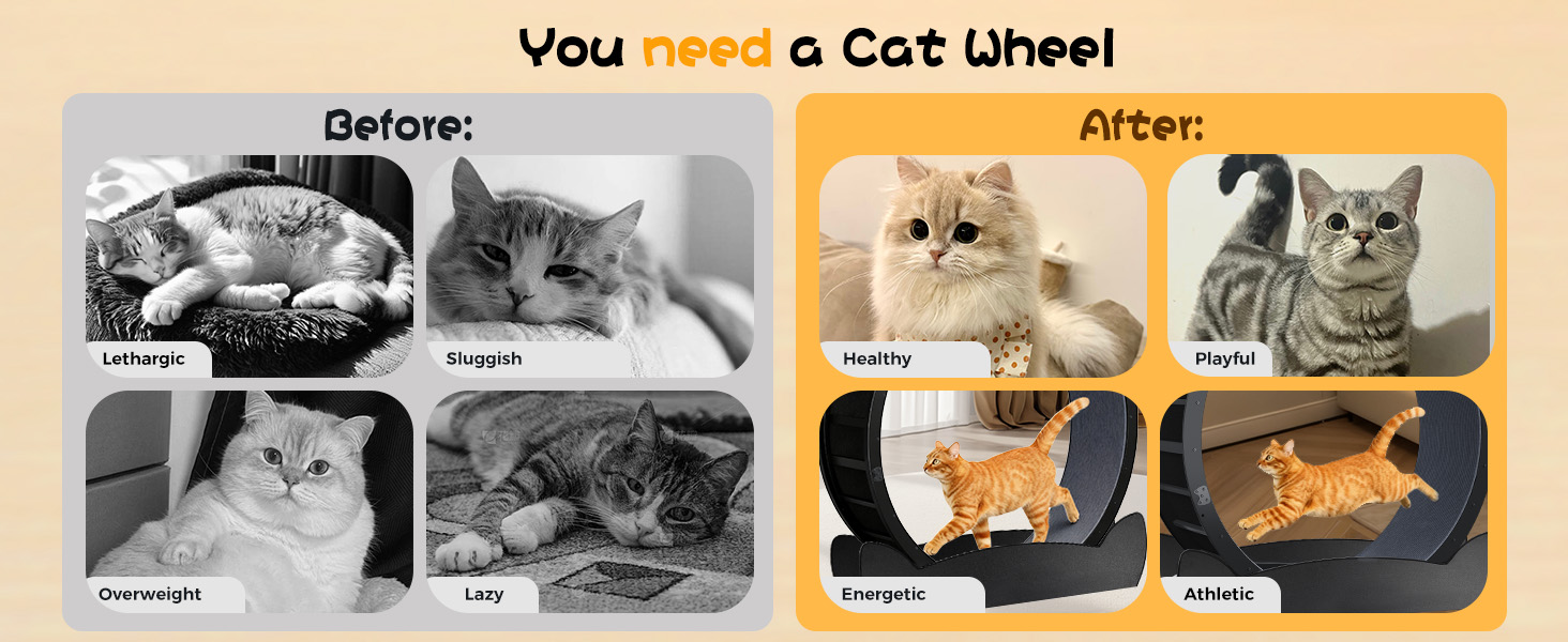 GTPLAYER Cat Wheels