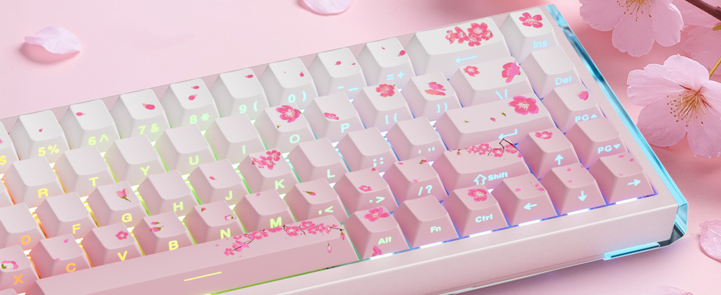 DAREU COOL68 Magnetic Gaming Keyboard