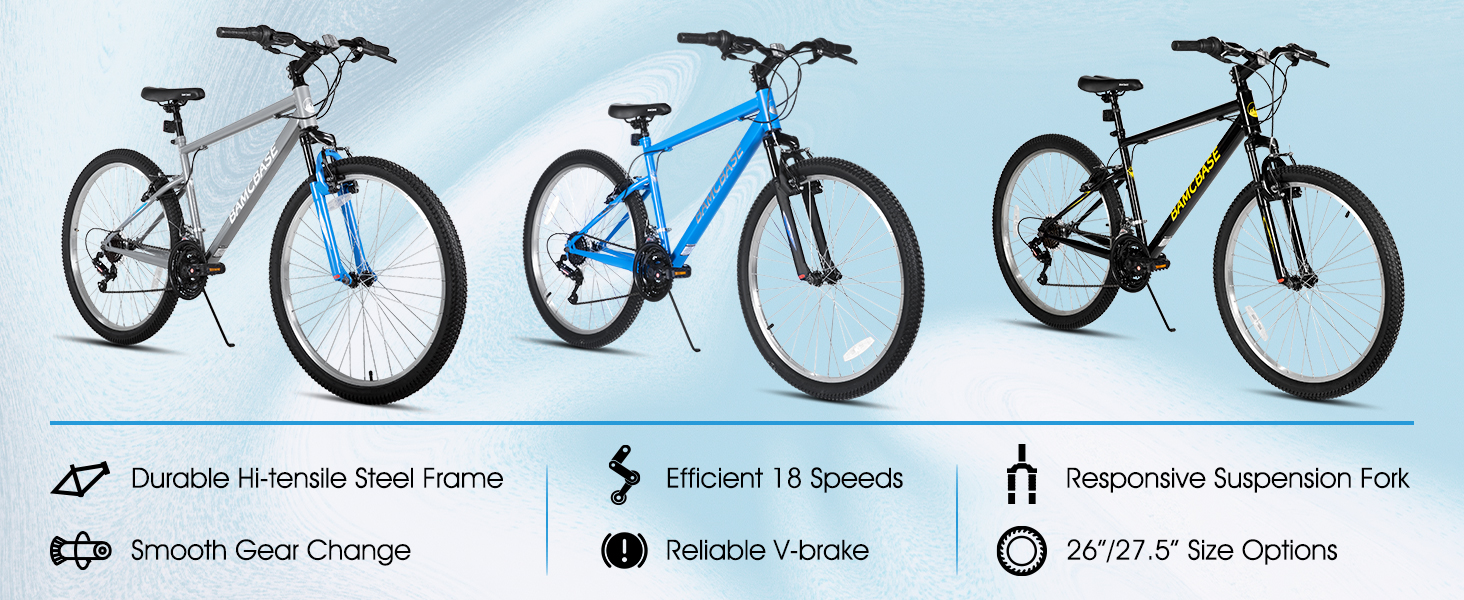 Product Introduction