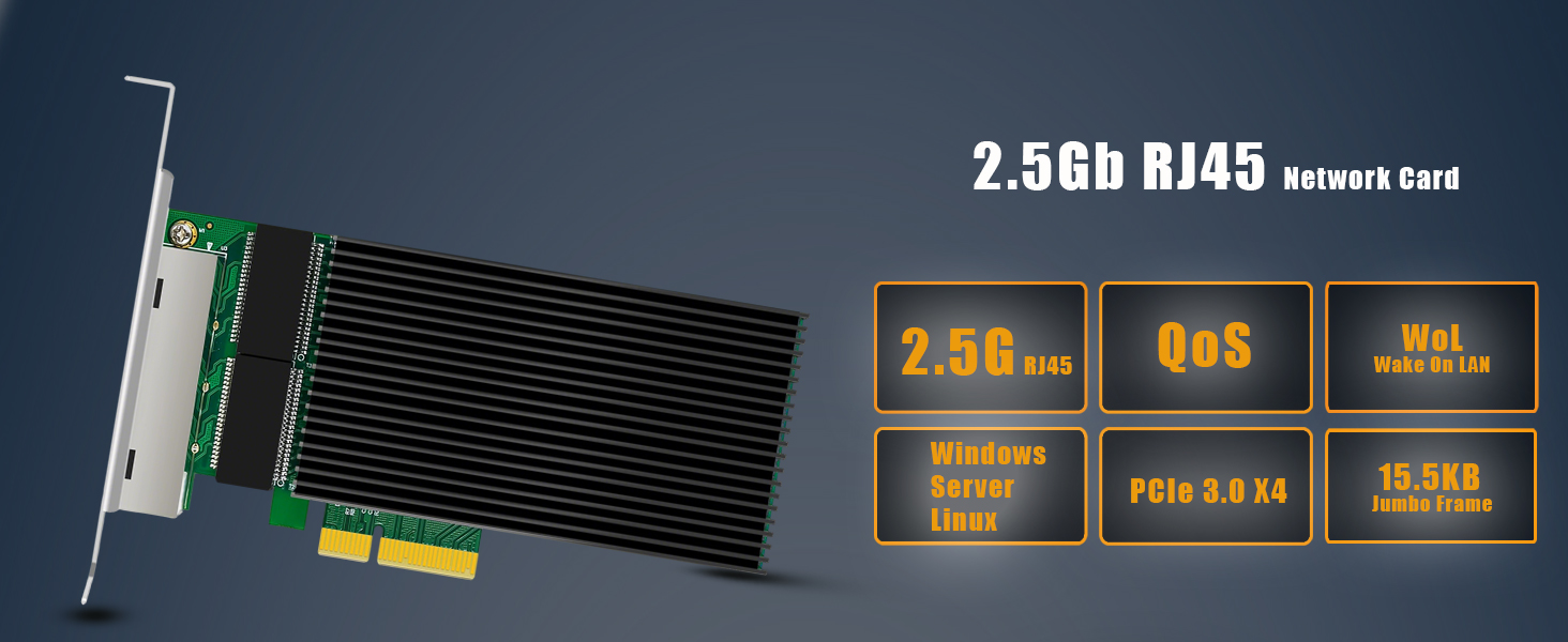2.5Gb Network Card