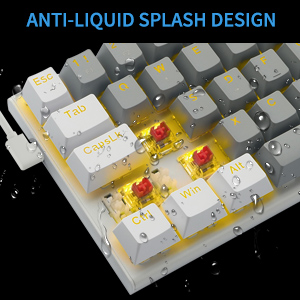 image for this item
