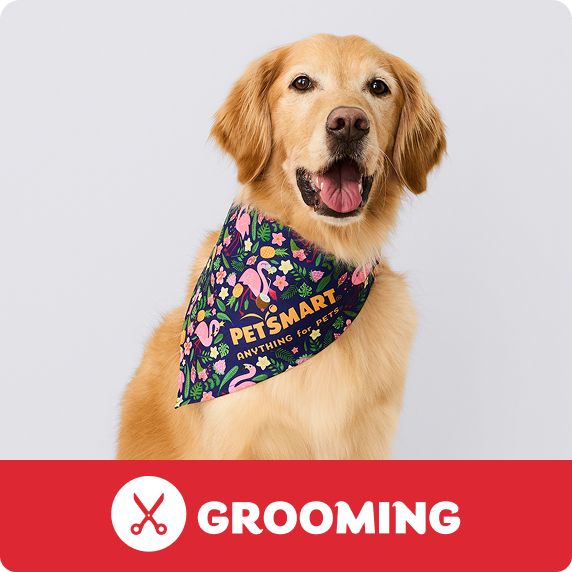PetSmart E-Gift Card