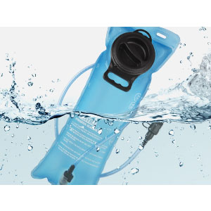 image for this item