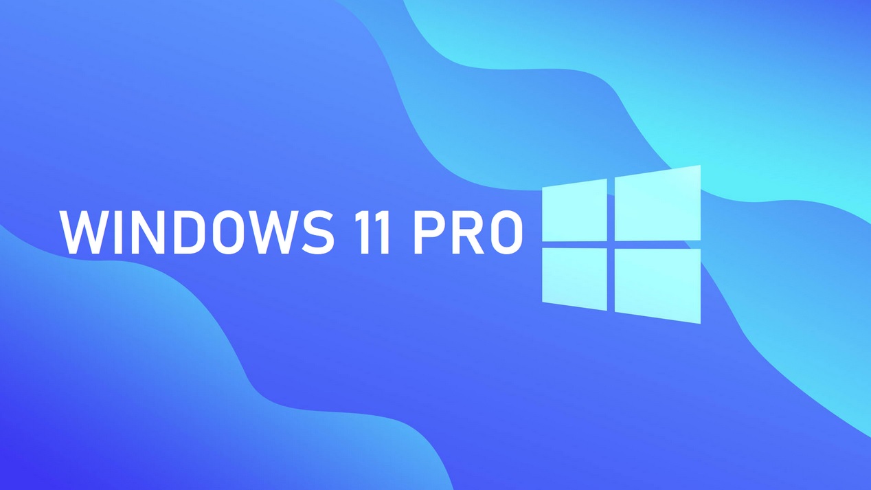 WINDOWS 11 PRO