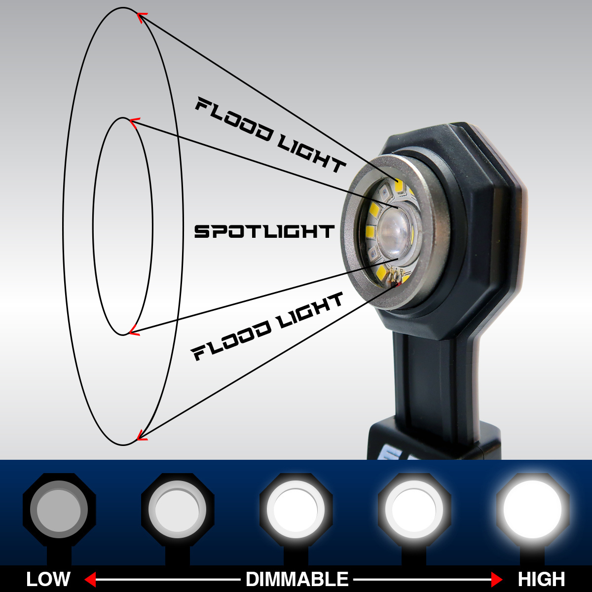 spotlight+ floodlight