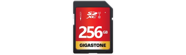 Gigastone SDXC card 256gb